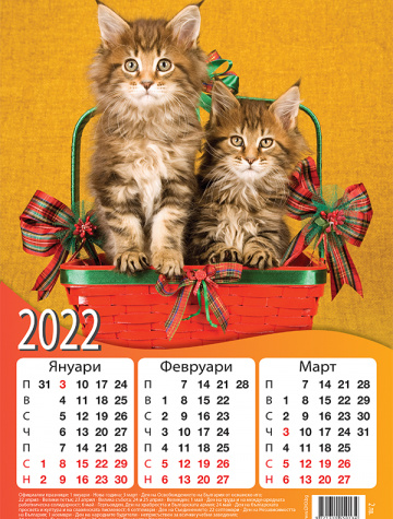 Календар с котки (снимка)